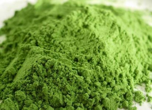 Manufacturers Exporters and Wholesale Suppliers of Wheat Grass Powder Surat Gujarat
